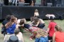 Thumbs/tn_Keltfest 2018 344.jpg